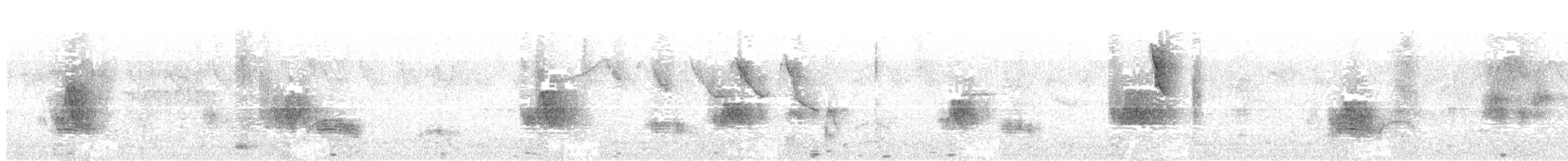 スイリリハエトリ - ML646442166