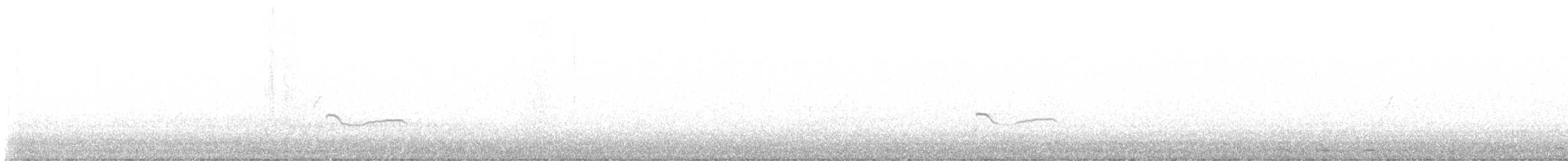 Black-bellied Plover - ML646442341