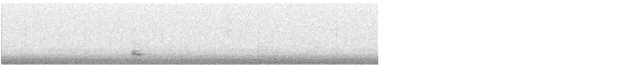 Little Bittern - ML646442369