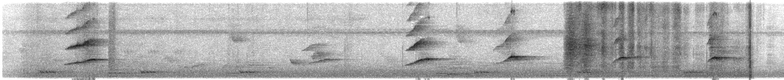 Kül Rengi Drongo - ML646442539