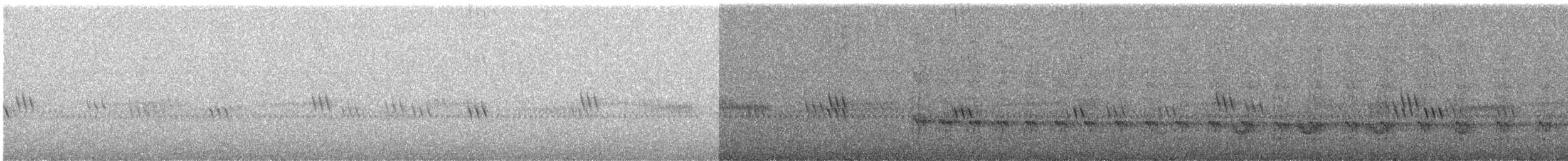 İzmir Yalıçapkını - ML646442614