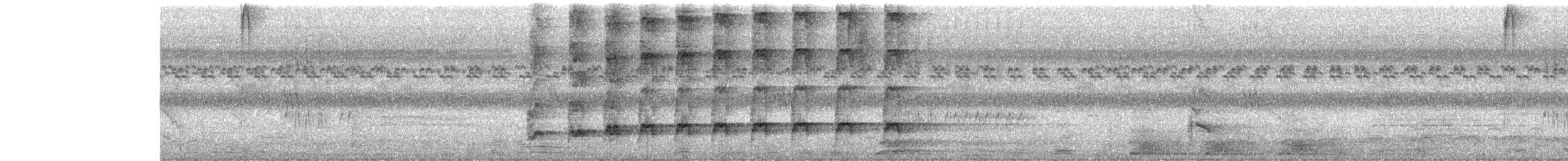 噪鵑 - ML646442912