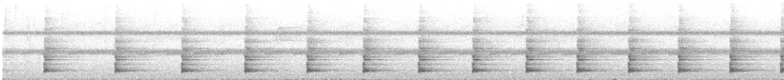 Бородатый звонарь - ML646443007