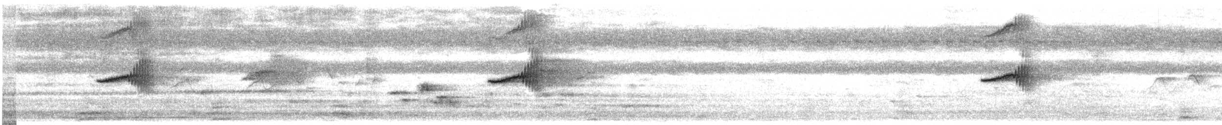 鵲鴝 - ML646443032