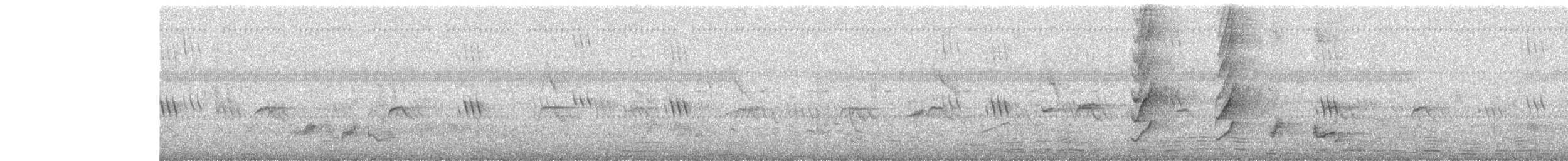 Indian Robin - ML646443070