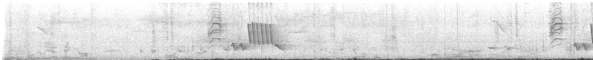 Southern House Wren - ML646443142