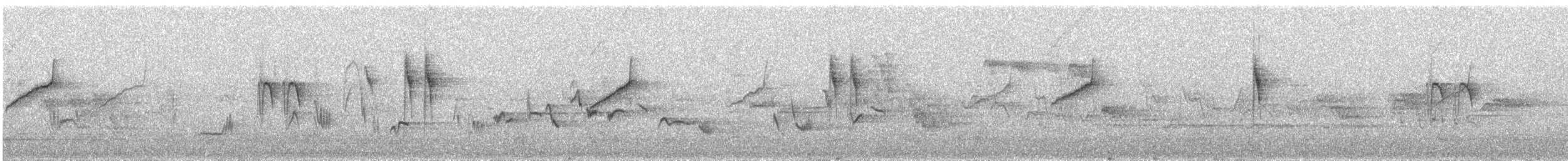 灰鶺鴒 - ML646443244