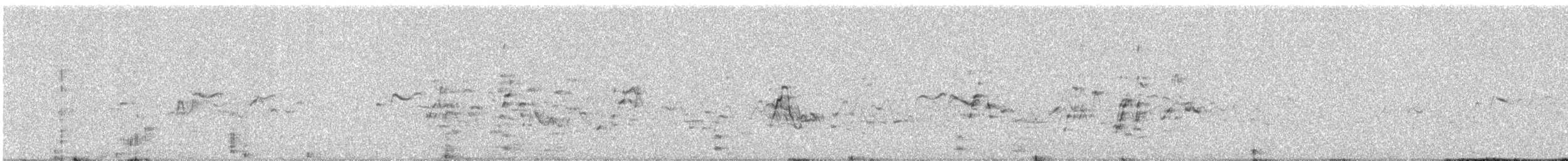 husička malá - ML646443284