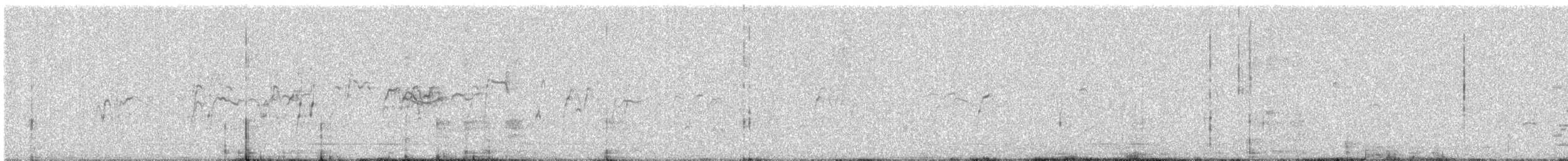 Large Gray Babbler - ML646443320