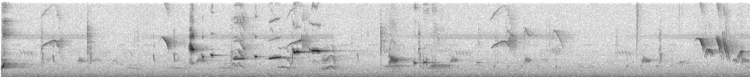 Spot-breasted Fantail - ML646443338