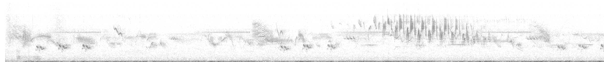 Golden-headed Cisticola - ML646443532