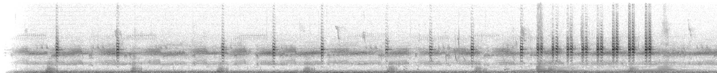 Lewin's Rail - ML646443748