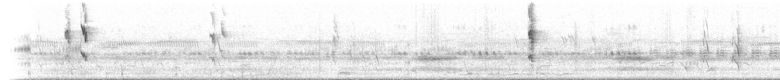 White-cheeked Honeyeater - ML646443749