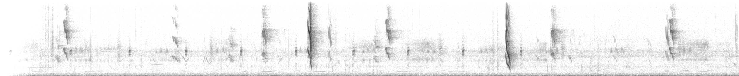 White-cheeked Honeyeater - ML646443753