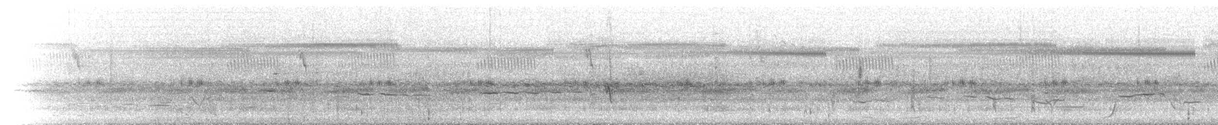 Ground Parrot - ML646443761