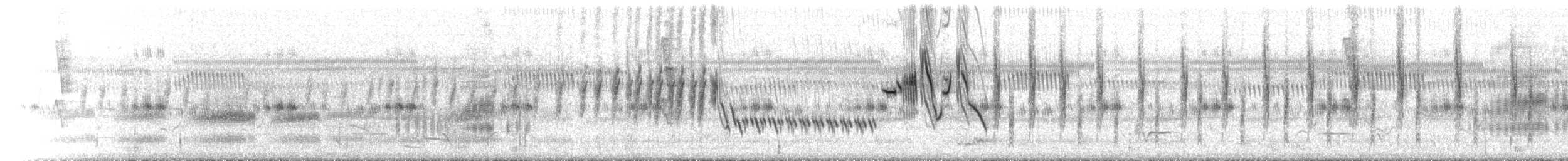 Tawny Grassbird - ML646443768