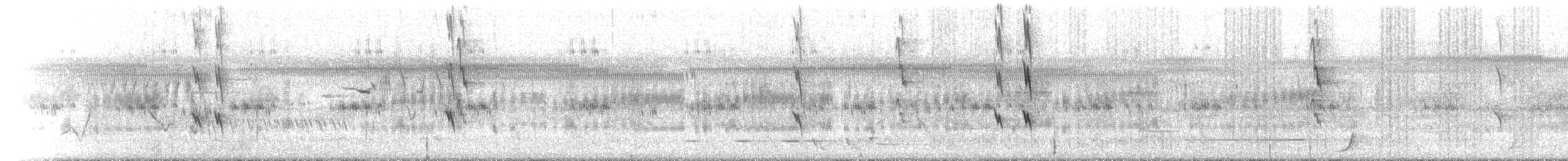 White-cheeked Honeyeater - ML646443769