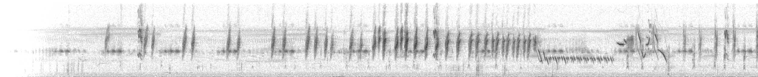 Tawny Grassbird - ML646443772