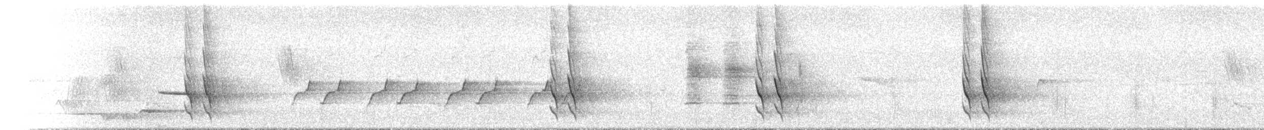 White-cheeked Honeyeater - ML646443910
