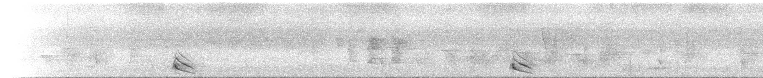 Australian Owlet-nightjar - ML646443916