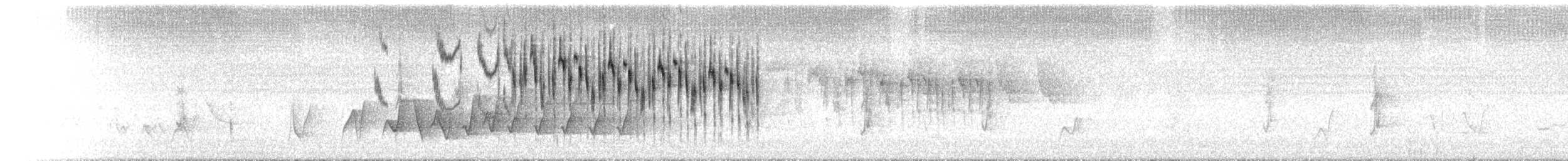 Variegated Fairywren - ML646443928