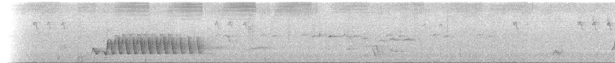 Brown Honeyeater - ML646443931