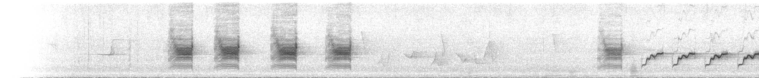 Leaden Flycatcher - ML646443938