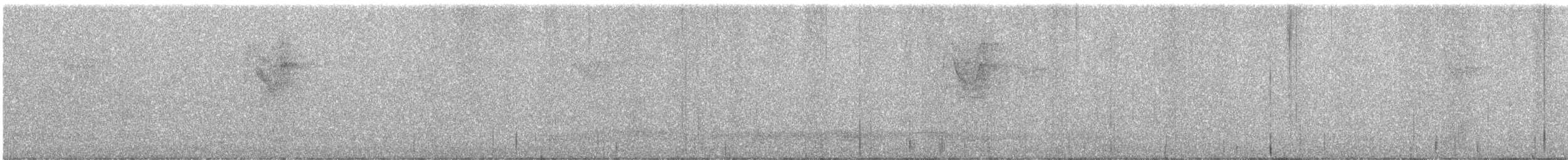 Tawny Owl - ML646444106