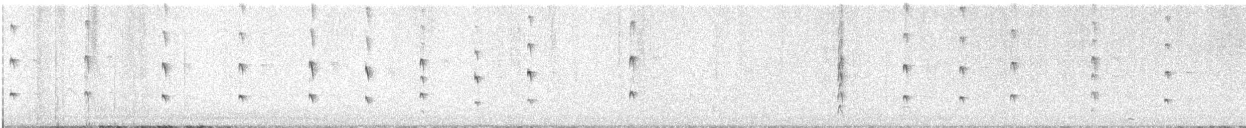 Water Rail - ML646444325