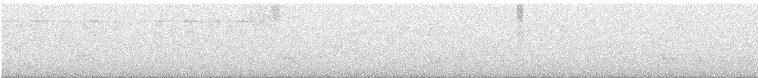 Gray Kingbird - ML646444770