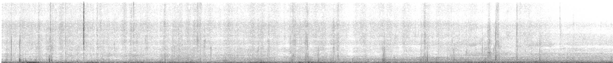 Black-winged Stilt - ML646445044