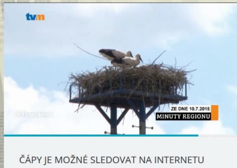 Leylek - ML646445093