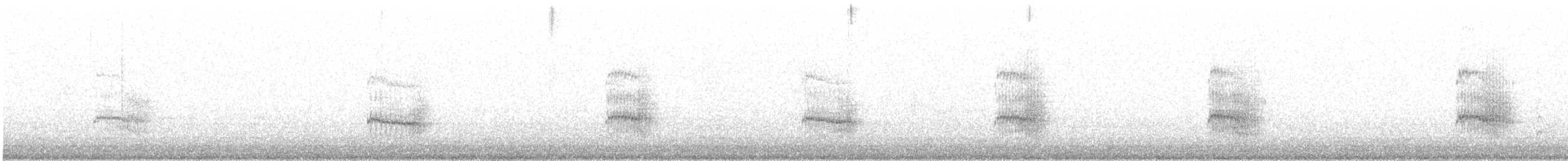 Common Tern - ML646445162