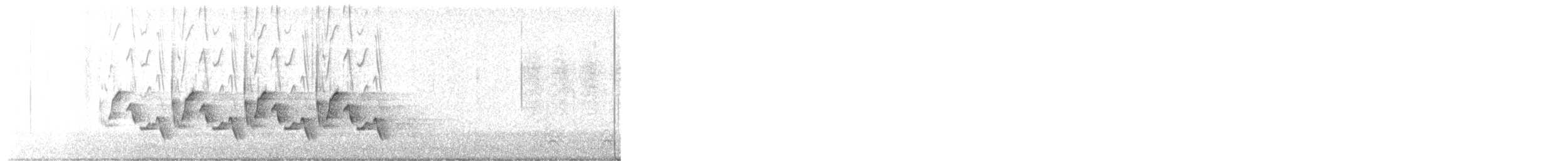 Carolina Wren - ML646445405