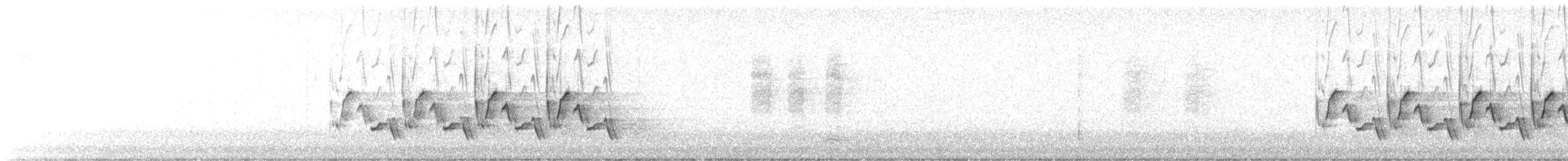 Carolina Wren - ML646445406