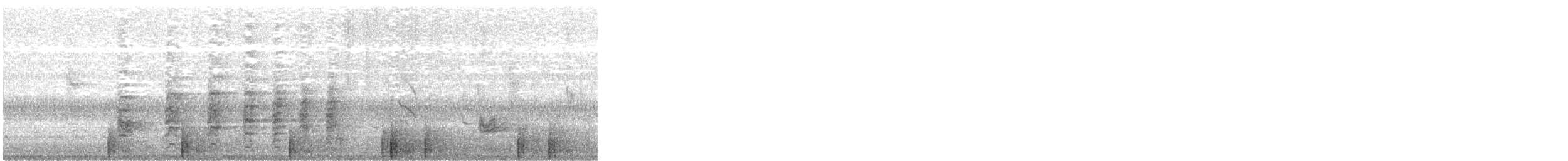 Oriental Pied-Hornbill - ML646445828