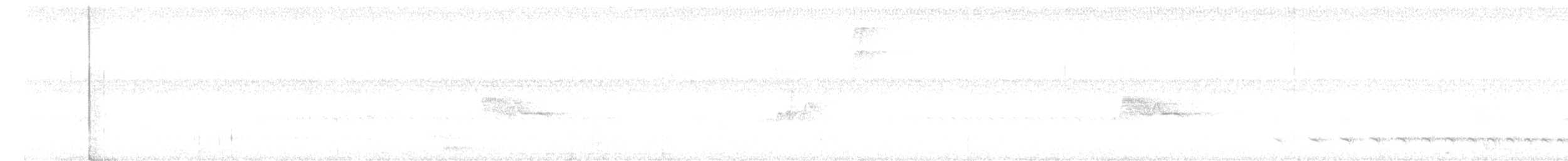 Western Wood-Pewee - ML646445914