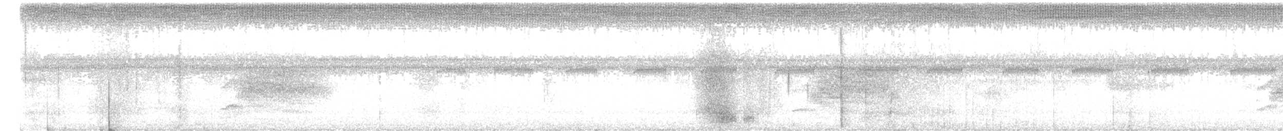 Blackish Antbird - ML646446023