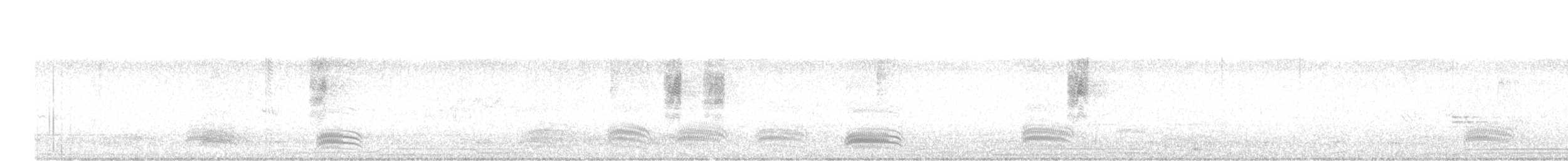 Indian Paradise-Flycatcher - ML646446264