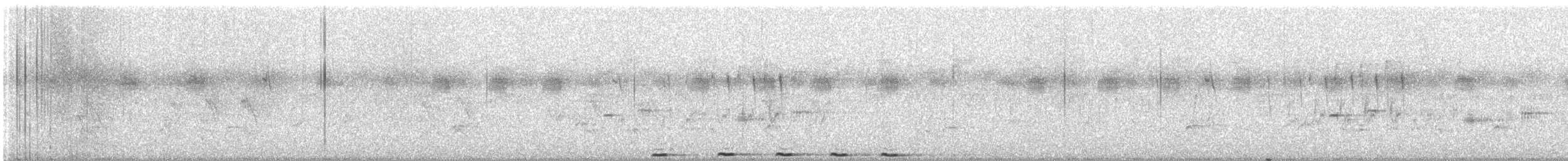 Greater Coucal - ML646446487