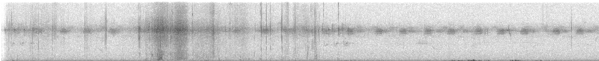 Greater Coucal - ML646446488