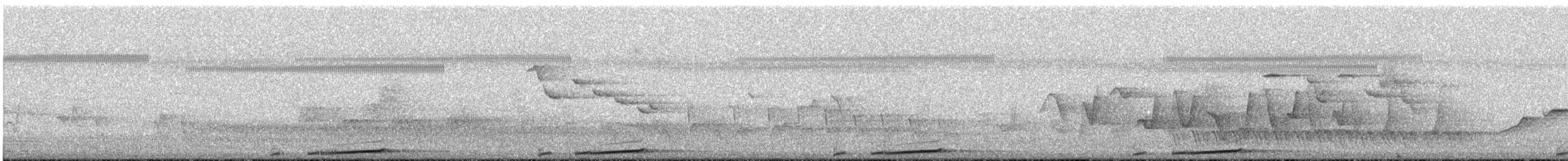 Brown Cuckoo-Dove - ML646446740