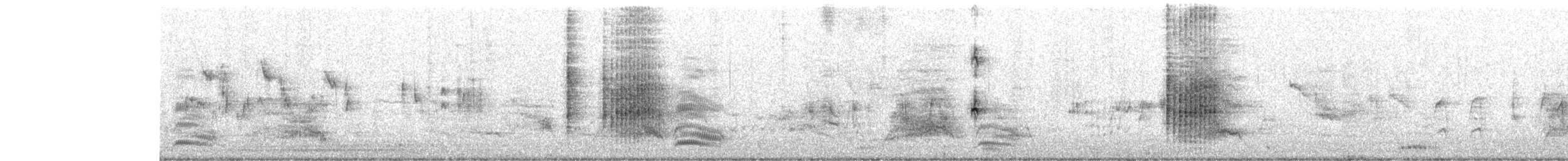 Clamorous Reed Warbler - ML646446892