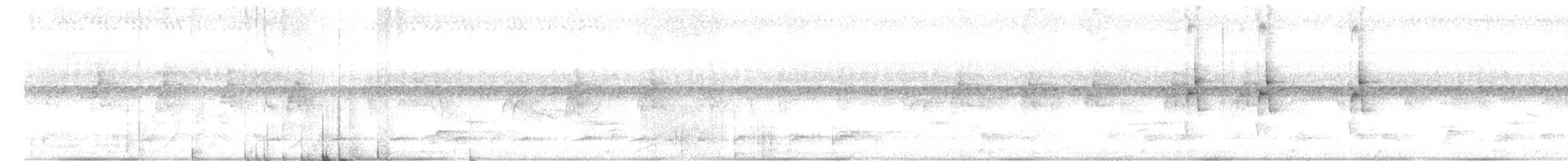 Wing-barred Piprites - ML646446893