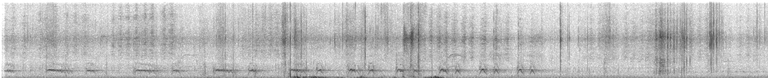 Jungle Owlet - ML646446927