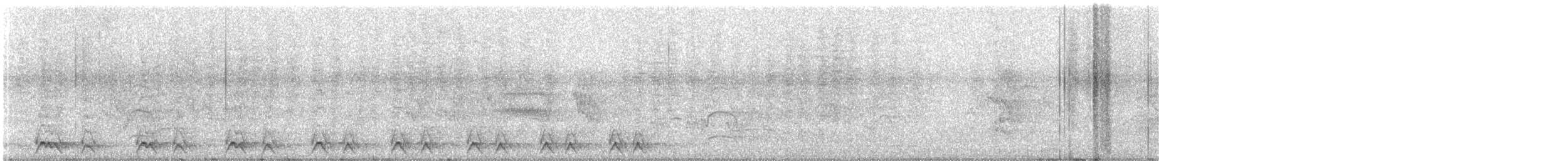 Jungle Owlet - ML646446928