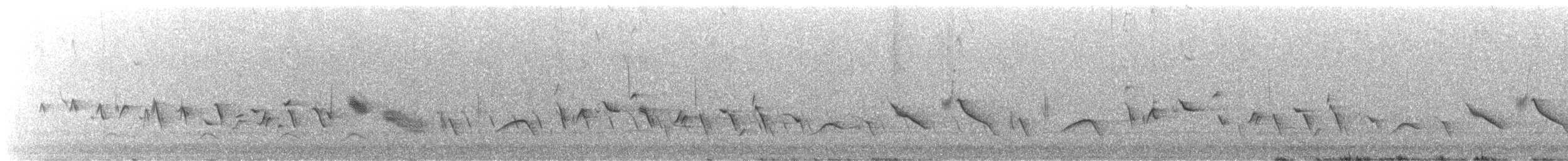 Ev Çütresi - ML646446965