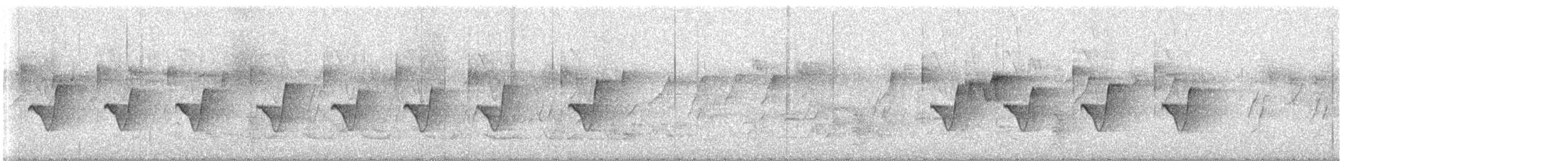 Красношапочная портниха - ML646447036