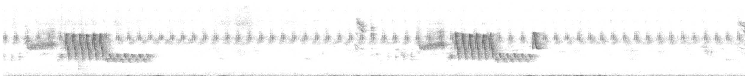 Southern House Wren - ML646447037