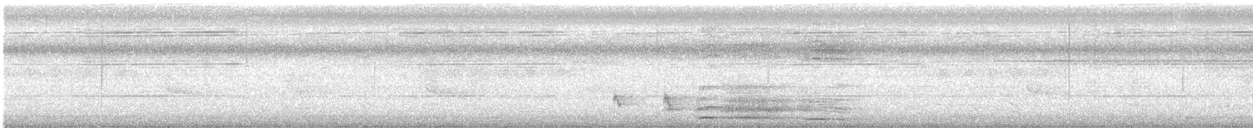 Банкивский петух - ML646447049